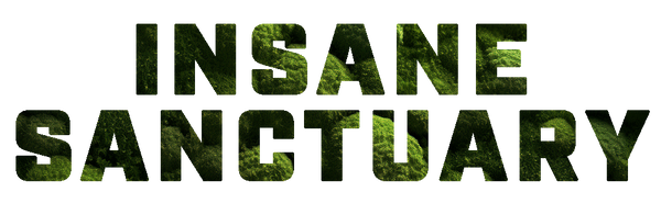 Insane Sanctuary
